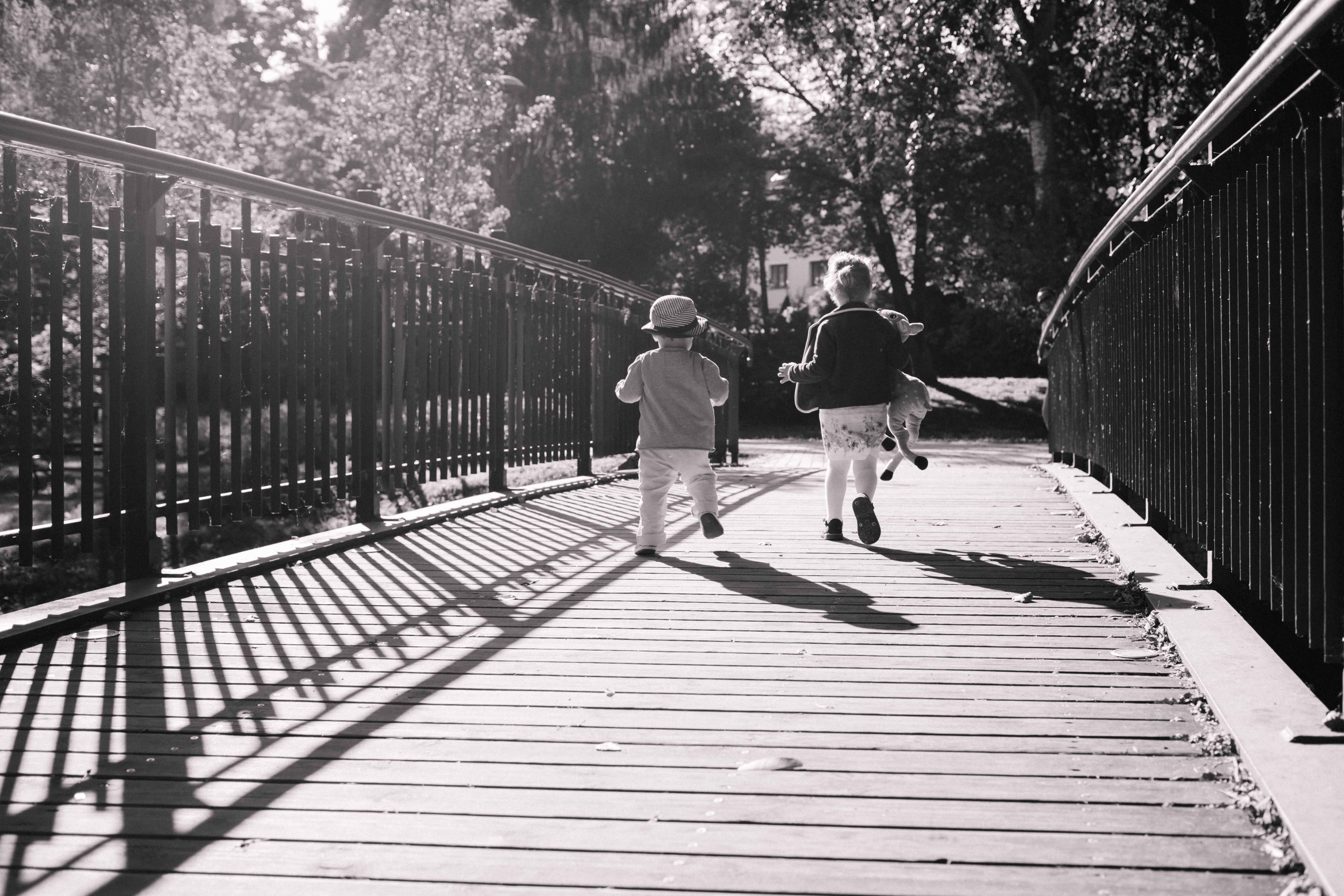 pexels-photo-194009.jpg