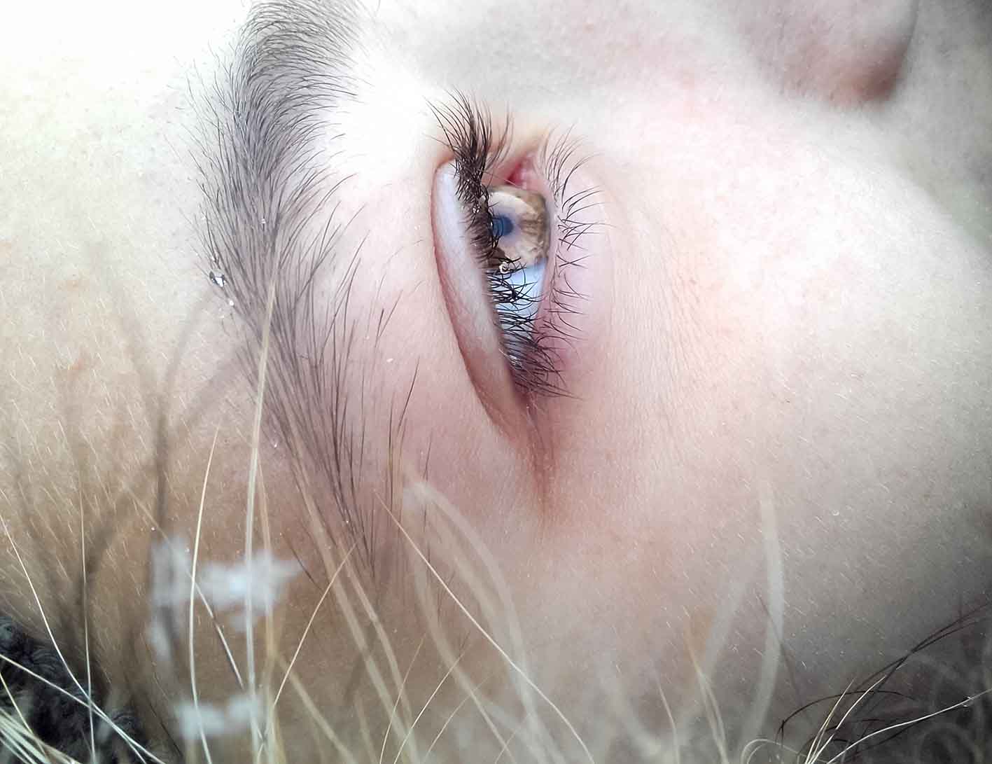 pexels-photo-47377.jpeg